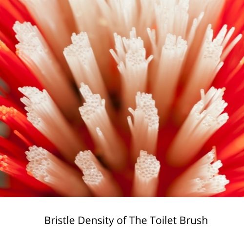 bristle density