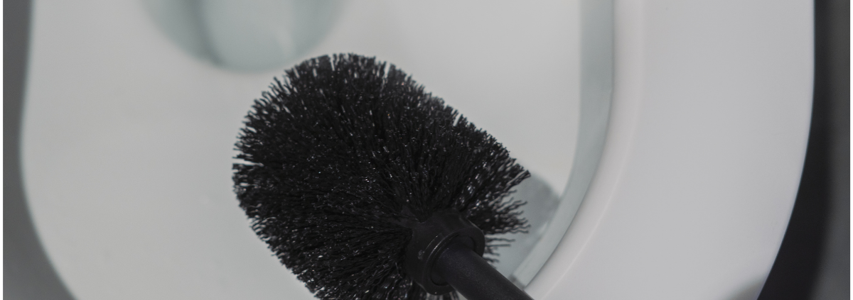 toilet brushes buying guide