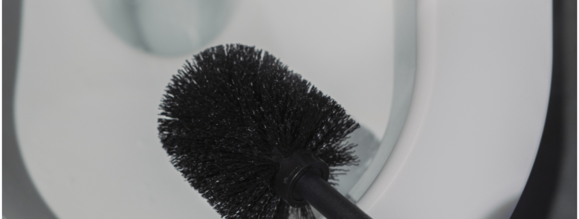 toilet brushes buying guide